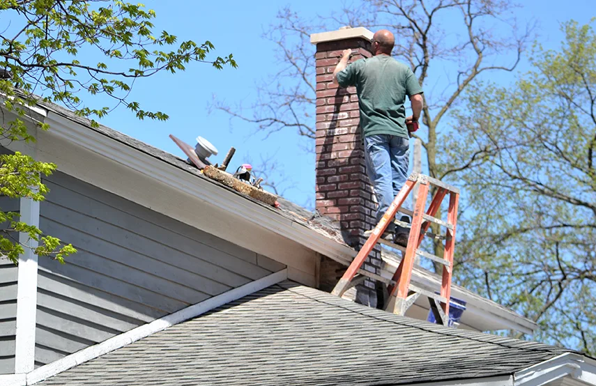 Chimney & Fireplace Inspections Services in Vicksburg, MS
